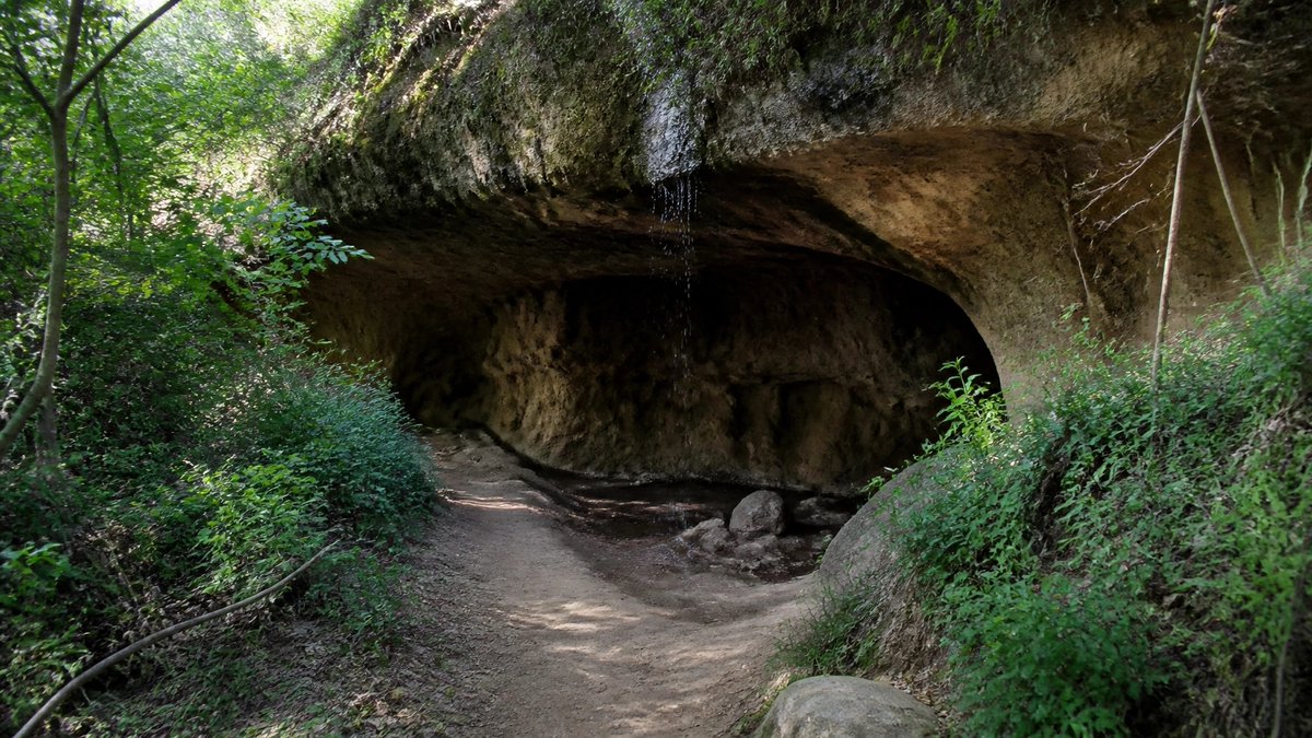AllThingsOC_'s tweet photo. Summer hiking in OC is 100% better when there's an outlaw hideout involved! 🤠🥾 @VisitOC, Dripping Cave is definitely the coolest spot (literally) to beat the June gloom. Who else is hitting the trails this week? #OCHiking #AlisoViejo #ExploreOC https://t.co/drl6dS8AIl