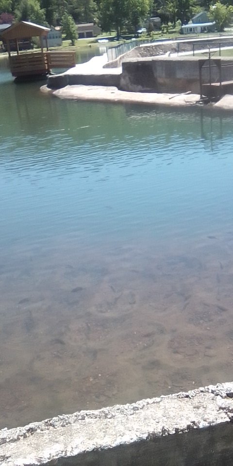 EvilHD5's tweet photo. We went to a different lake then yesterday my dad had house there before he moved to Florida https://t.co/rZ0AC29RJw