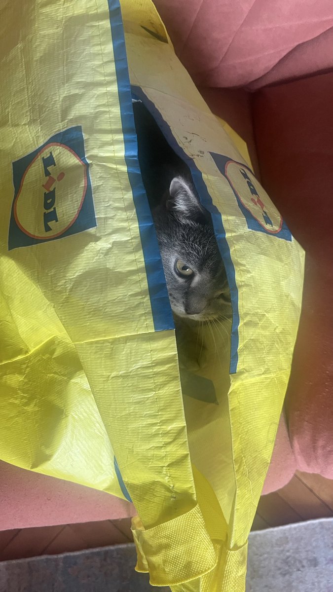 butikhuni's tweet photo. Lidl’da promosyon vardı. https://t.co/x7L02QtU1D