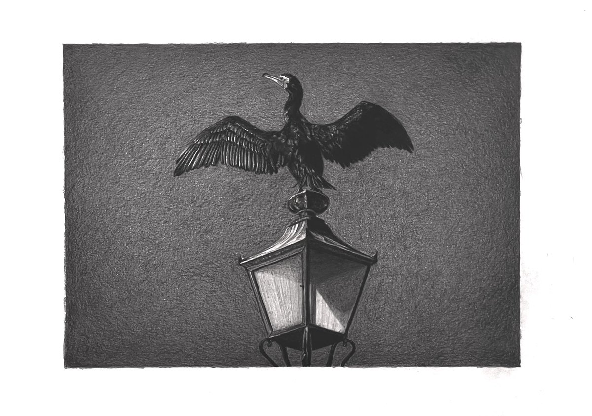 AtelierGeeraets's tweet photo. Hij is voltooid. Waarschijnlijk slaapt u, dus ik post hem morgen nog wel een keer. Een aalscholver en mijn voorliefde voor film-noir

‘Film Noir’
29,7 x 42 cm
Potlood op papier

Delen is lief. https://t.co/D1LCVCyqQb
