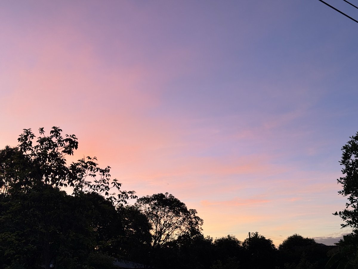 Heedarling's tweet photo. สวัสดีเช้าวันใหม่🌞🌻ค่ะ ขอส่งความปรารถนาดีและพลังบวกให้ทุกคนในเช้านี้ 

ขอให้เป็นวันที่โอบล้อมไปด้วยความสุข มีแต่รอยยิ้มเสียงหัวเราะ 🫶🫶

และขอให้ทุกความตั้งใจในวันนี้ประสบความสำเร็จอย่างไร้อุปสรรค😍😍 ทะลุเป้าหมายนะคะ

สู้ๆค่ะทุกคน💪🌷

#Morning #Googmorning https://t.co/5gU3bwyCij