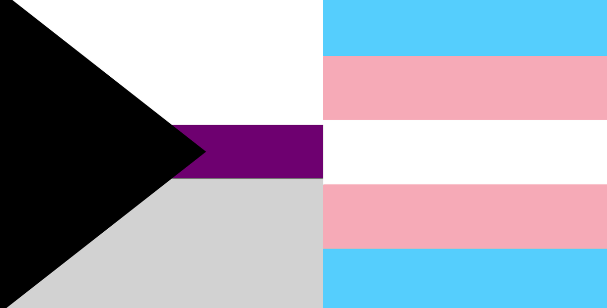 decoradoomed's tweet photo. it's pride month so instead of arguing i'd rather yell about my personal headcanons for my current favorite characters

i headcanon lucifer as an intersex pansexual and alastor a transman demisexual

alastor in particular is also androromantic while lucifer is omniromantic! https://t.co/SpQO54RJ75
