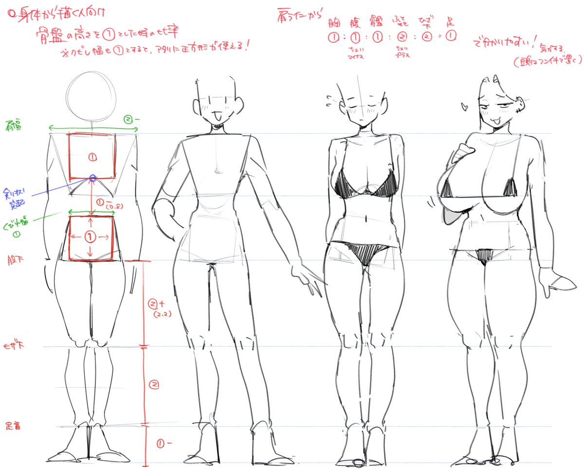 Ohasi_sub's tweet photo. 頭を後から置く人向け、骨盤基準の人体比率(目安) https://t.co/07CS6y0gRX