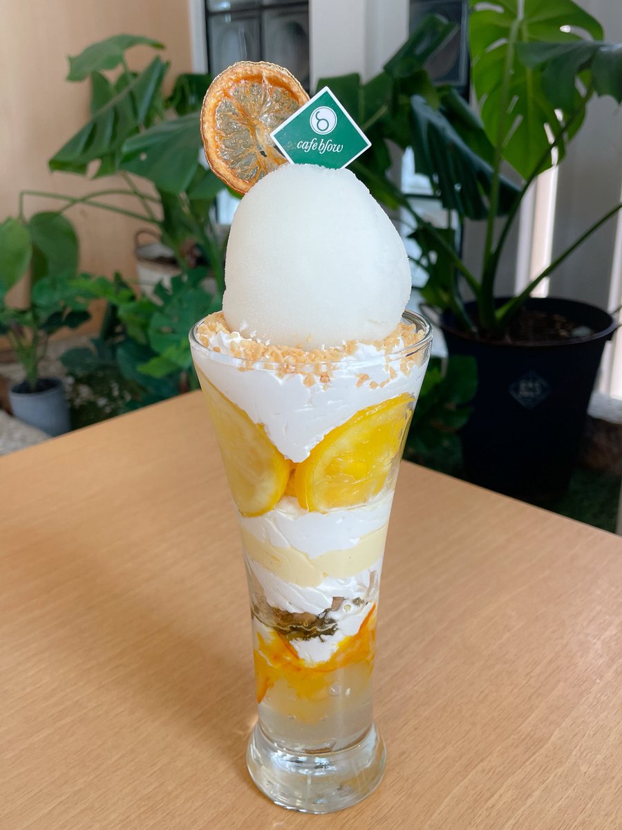 cafeblow's tweet photo. おはようございます☀️
パンケーキカフェcafeblowです🥞

レモンの贅沢パンケーキパフェは
レモンシャーベットを丸ごとトッピングした
レモン好きのためのパンケーキパフェです🍋

レモンシロップ漬けやレモンカスタードクリーム
レモンゼリーなどレモン尽くしの一品です(´͈ ૢᐜ `͈ૢ) https://t.co/CBtctJFrK7
