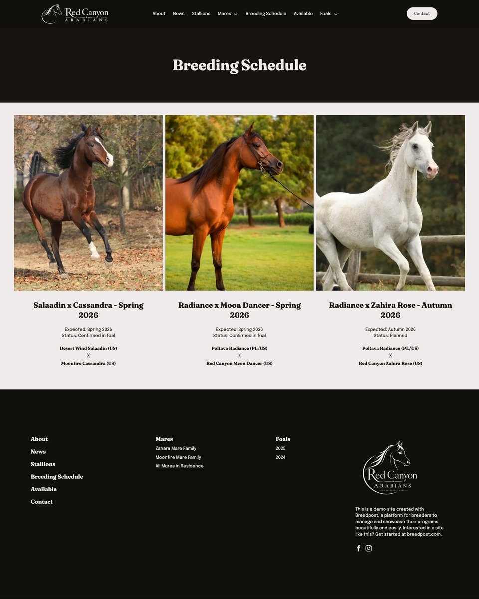 breedpost's tweet photo. No website for your breeding program? Or your current one isn't doing it justice?
Pedigrees, show results, breeding schedules, foal archives. Built for breeders who take their program seriously.
Migration included in our one-time $120 setup fee.
https://t.co/dNiRSur4w2 🐴 https://t.co/wpQLQtdEOT