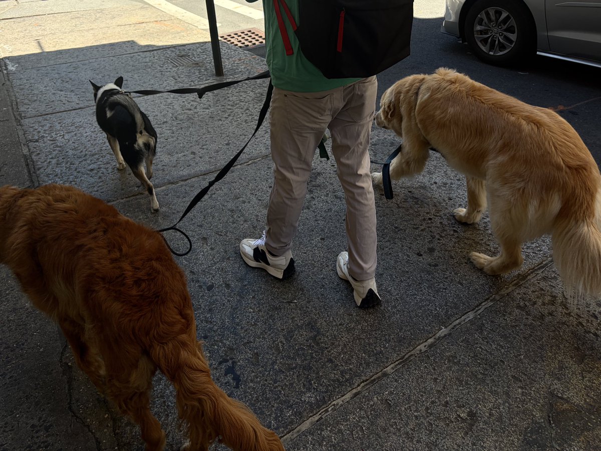 DS5EVER's tweet photo. NYC June 3, 2026 https://t.co/fNDVanBckj