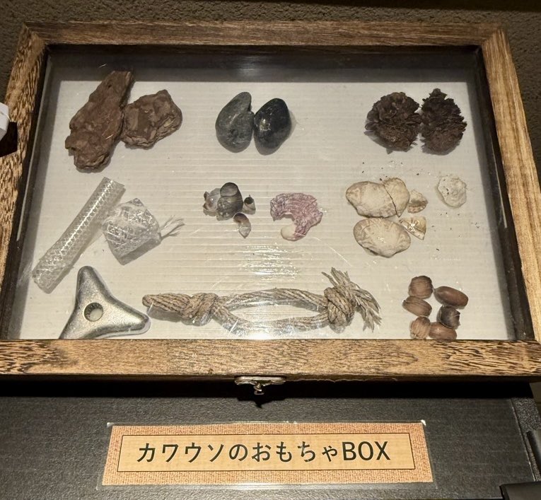FavoriteBears's tweet photo. おはようございます🦦
6/7(日)までサンシャイン水族館では

•カワウソの臭いクンクンBOX
•カワウソの利き臭いクンクン装置
などを楽しめます✨

友達に教えてもらって私も全部クンクンしてきました😆ｺﾁｭﾒｰ‼︎ｸｻｯ‼︎もう一回‼︎ｸﾝｸﾝ..🔁

#人によって臭いの好みが分かれるよ https://t.co/Z2qeDChSNy