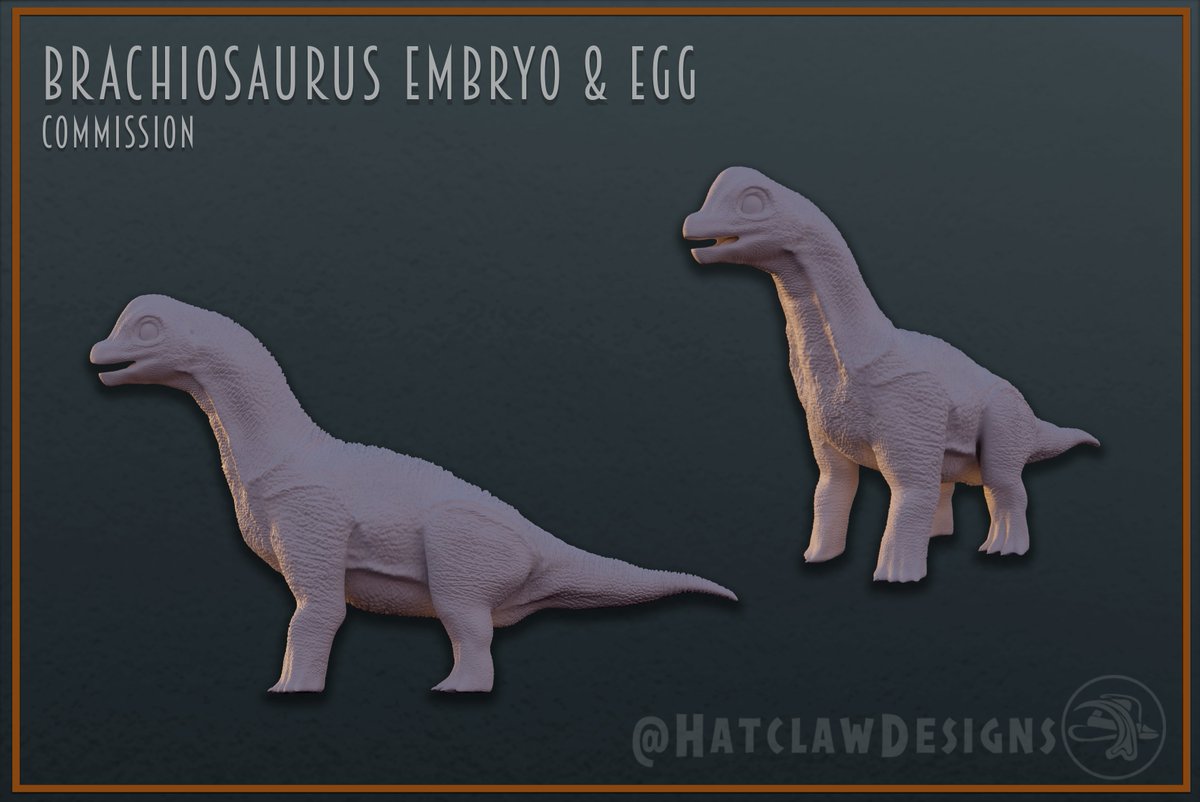 HatclawDesigns's tweet photo. A commission I placed a while ago: a Brachiosaurus embryo and hatchling with its egg. Remember that commissions are open; if you'd like a 3D model, send me a DM! #Dinosaurs #JurassicJune #JurassicWorld #3DModelling #3DArt #BlenderArt https://t.co/IstOVWMQsq