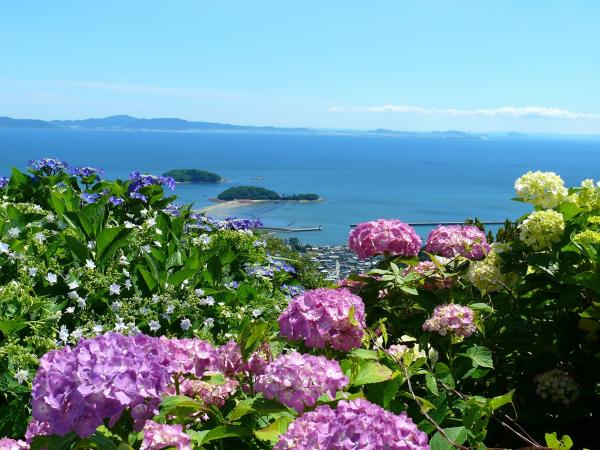 Mu_kikaku's tweet photo. 【ツーリングスポット】

三ヶ根山スカイライン（愛知）

西尾市幡豆町から形原温泉に至る5.1kmの有料ドライブウェイ

眺望は素晴らしく、蒲郡市街〜渥美半島、太平洋まで望めます🙆

別名「あじさいライン」と呼ばれるように、6月には満開のあじさいが素晴らしい〜🏍️💨🙌
https://t.co/pC6OgqQaMn https://t.co/bv4kl94Fx5