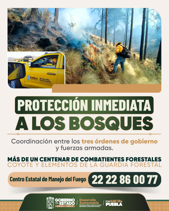 AmbienteGobPue's tweet photo. ✋🔥 ¡Ni un paso atrás en la defensa de nuestros bosques!

Mantenemos monitoreo permanente y en tiempo real de las zonas forestales del estado, a través del Centro Estatal de Manejo del Fuego. 🎛️📡

En el @Gob_Puebla cuidamos lo que amamos.🌎❤️

#PorAmorAPuebla https://t.co/fDgLq0xOdE
