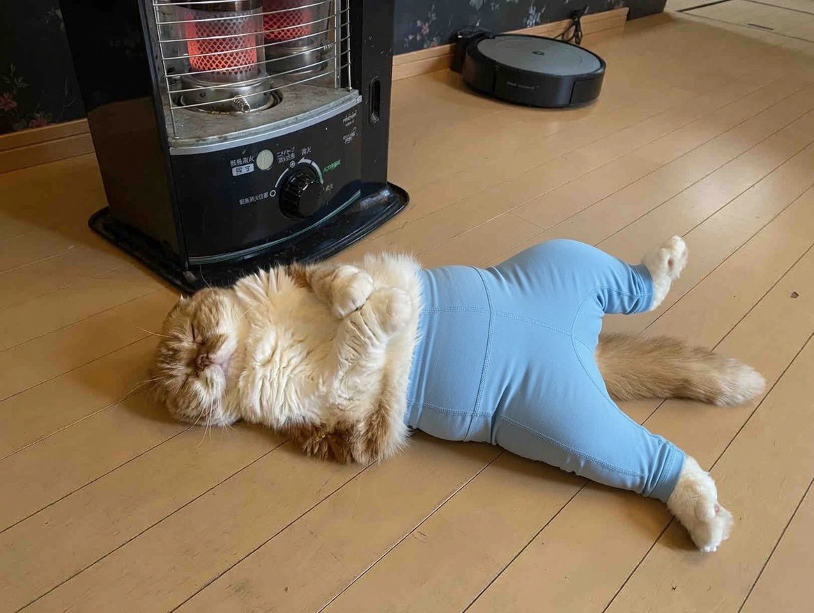 ponta_master's tweet photo. ヨガパンツやってみたら腹痛い😂🤣 https://t.co/4mkfOELjjF