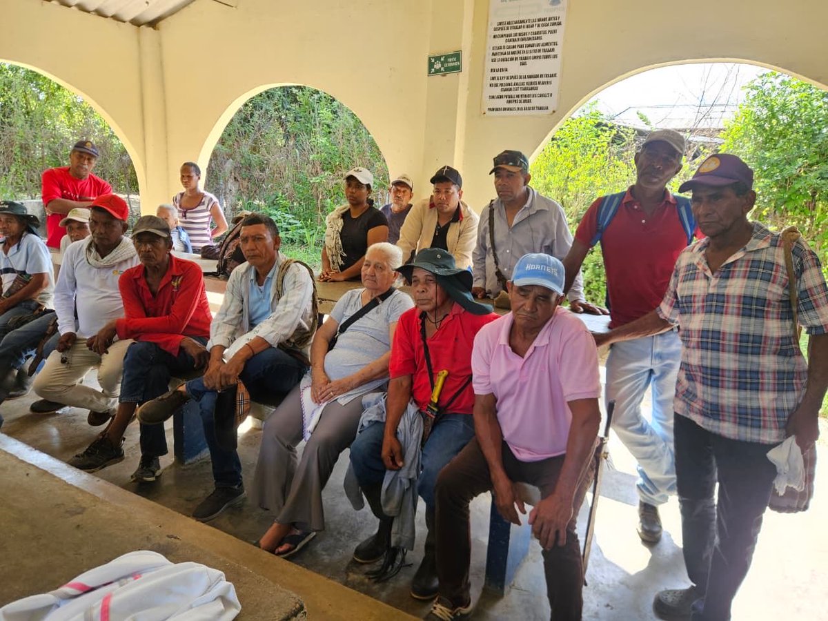 URestitucion's tweet photo. 📰 La #URT destina $1.700 millones de pesos a la Asociación de Usuarios Campesinos Retornados a Las Franciscas (AUCREFAN) ✊🏾🌱 ubicado en la Zona Bananera 🍌, departamento del #Magdalena.

🍌 Conoce más de esta noticia en https://t.co/ve4sh77074 https://t.co/v8OGic770d