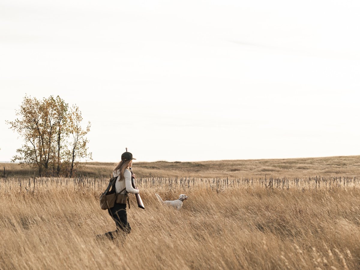 pheasants4ever's tweet photo. Pheasants Forever and Quail Forever joined 50 other conservation, sporting, and outdoor recreation organizations today in sending a letter to the Senate Agriculture Committee urging them to invest in CRP in the farm bill.
 
If you want to use your voice to help advocate for this critical program, click the link at the bottom of this blog post. https://t.co/q7fn49mEi6