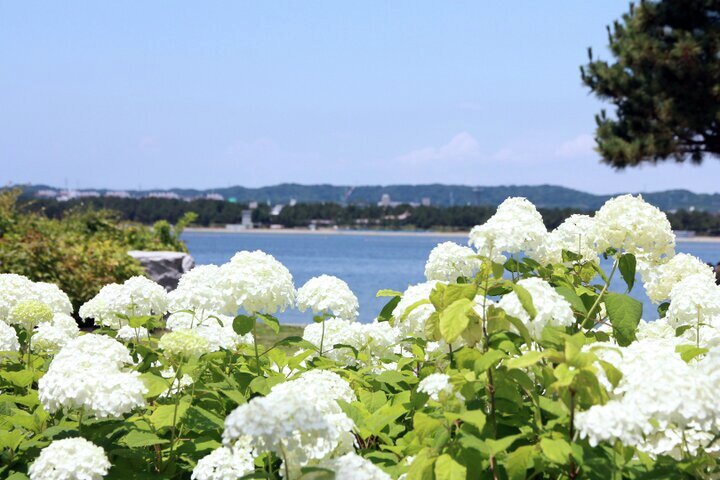 cotrip_twi's tweet photo. 【今週末のイベント12選】

今週末に東京周辺で開催されるイベントをまとめてご紹介。 今週は「生活のたのしみ展2026 」や「PICNIC CINEMA」など注目のイベントが開催。各地であじさいイベントもスタートしています♪

詳しくはこちら⇒https://t.co/W0SLmnoX1L https://t.co/tifX9Nlbzu
