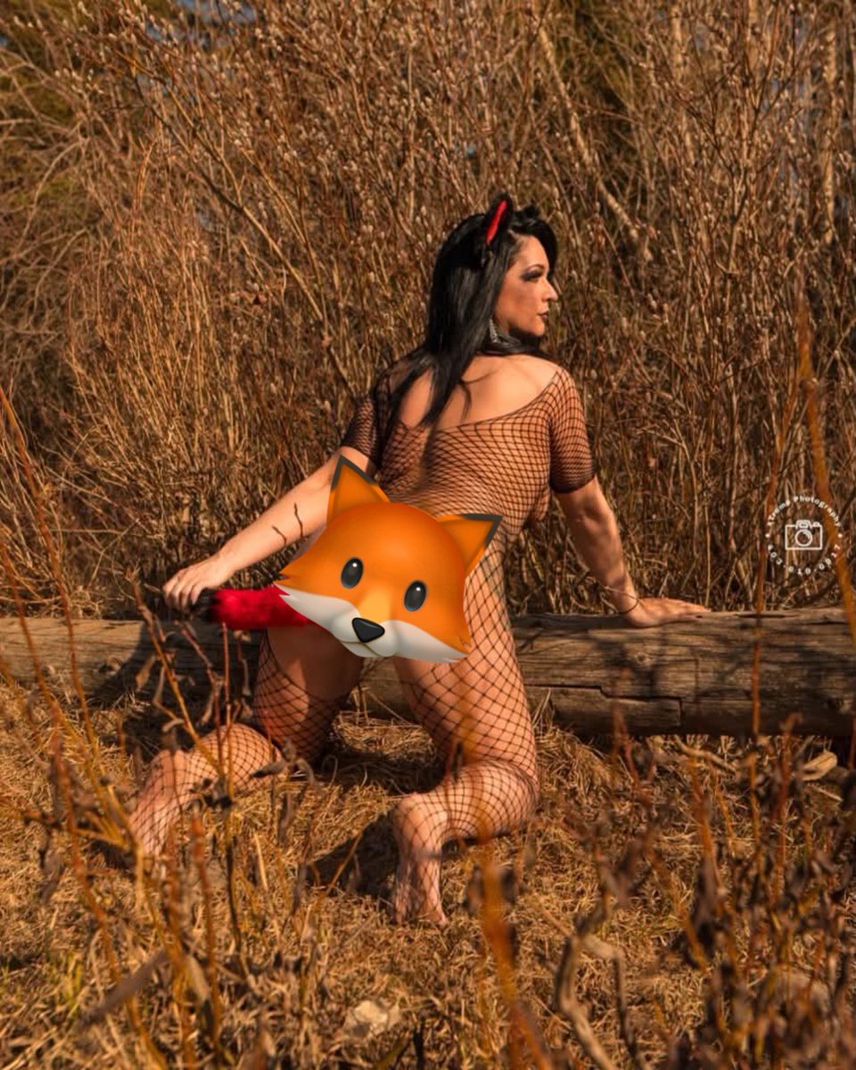 lickthefuzz's tweet photo. https://t.co/fxLI5Yy298
