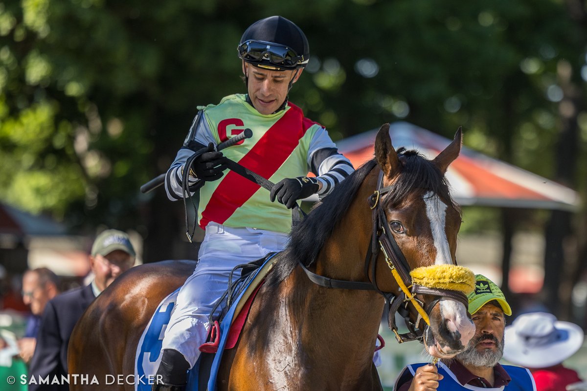 sdeckerphoto's tweet photo. Congratulations to the connections of Alan Turing, winner of the Commentator Stakes today at Saratoga on New York Showcase Day!  The four year old gelding is owned by Gallagher's Stud, trained by Pat Quick, and was ridden to victory by @JuniorandKellyA.  This was the first running of the Commentator since Tator's passing last year, so it was very meaningful for the @OldFriendsCC farm fam to be able to see it one last time at the Spa before it returns to its regular home of Belmont Park.

Shot for the @saratogaspecial