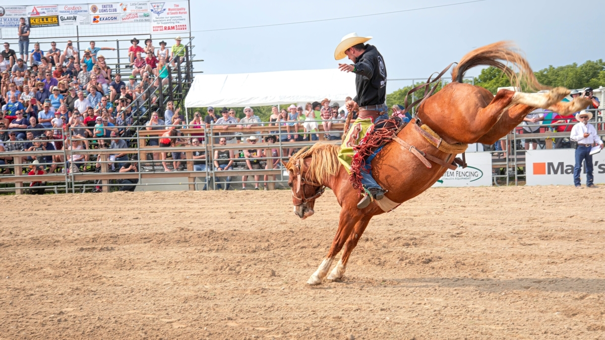 SleepFlagstaff's tweet photo. Dust off those #boots! 👢 

The #FlagstaffPro Rodeo is happening June 4-6, and the Sleep Inn Flagstaff is your perfect home base; just a 5-minute drive from the arena! Grab your tickets, book your room, and get ready for three nights of pure adrenaline. 
https://t.co/F9zw8mt3JN https://t.co/SZrOwp2U5J