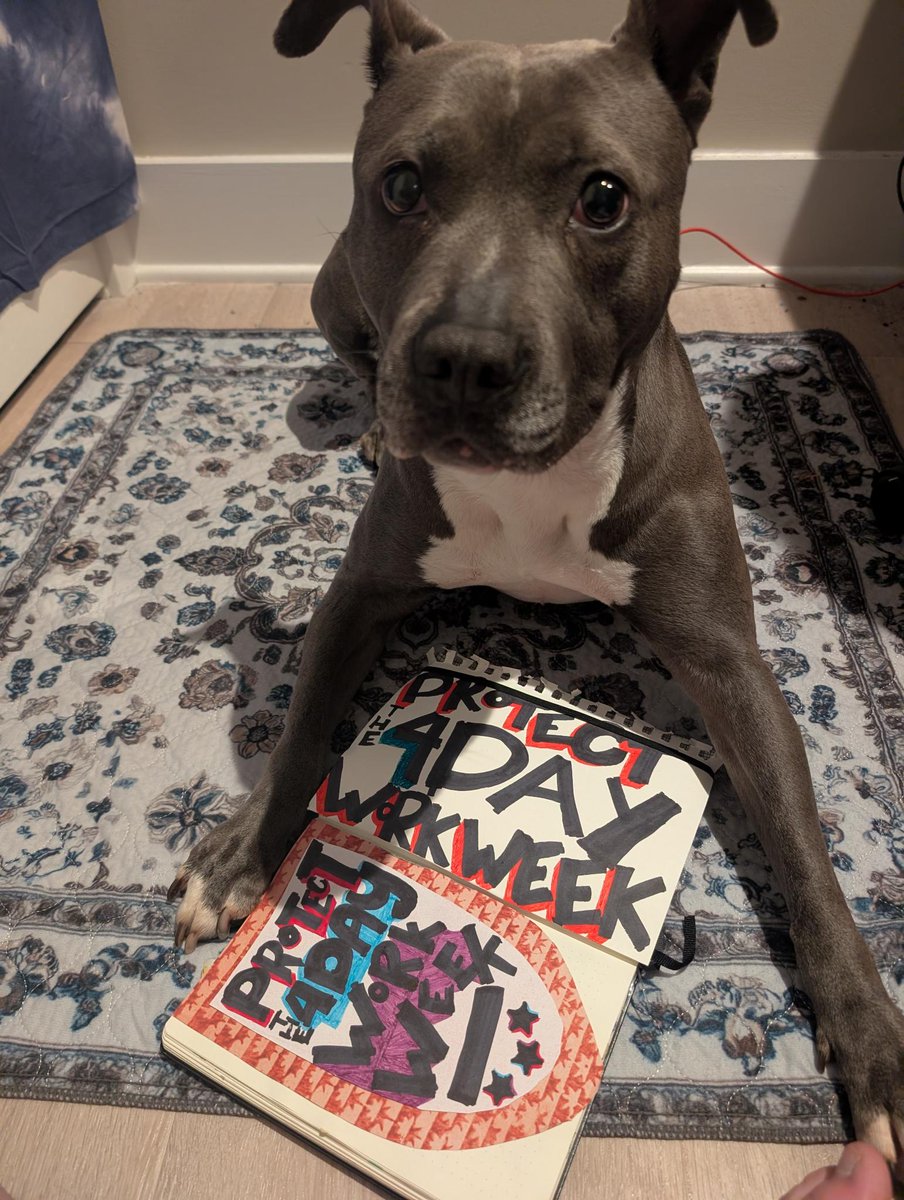 GuildatLP's tweet photo. Click through to see a selection of signs, including one modeled by Nomi the dog! https://t.co/BVEN3VPH0Q