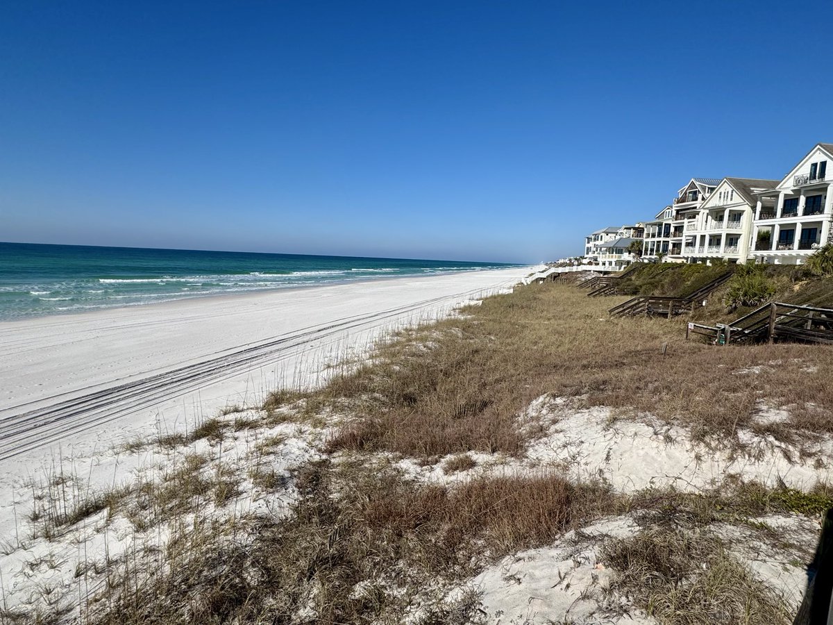 PrescottKyle's tweet photo. @JoshuaBarzon @official_flo @FLAGALine @Floridaman @nbc6 @RonDeSantis @SunSentinel @FloridaTourism @FloridaGators Just Stay away from my beach 🏝️😎 https://t.co/4jsVY0S6tC