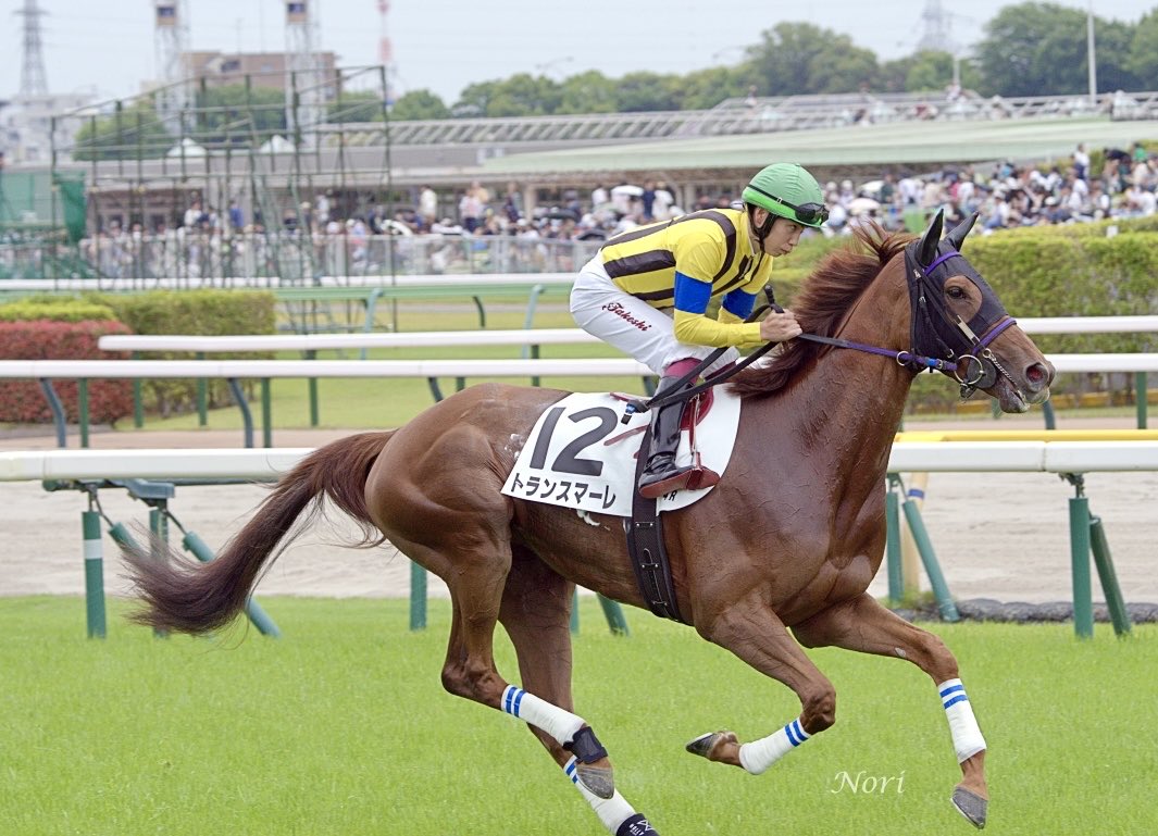 3歳未勝利