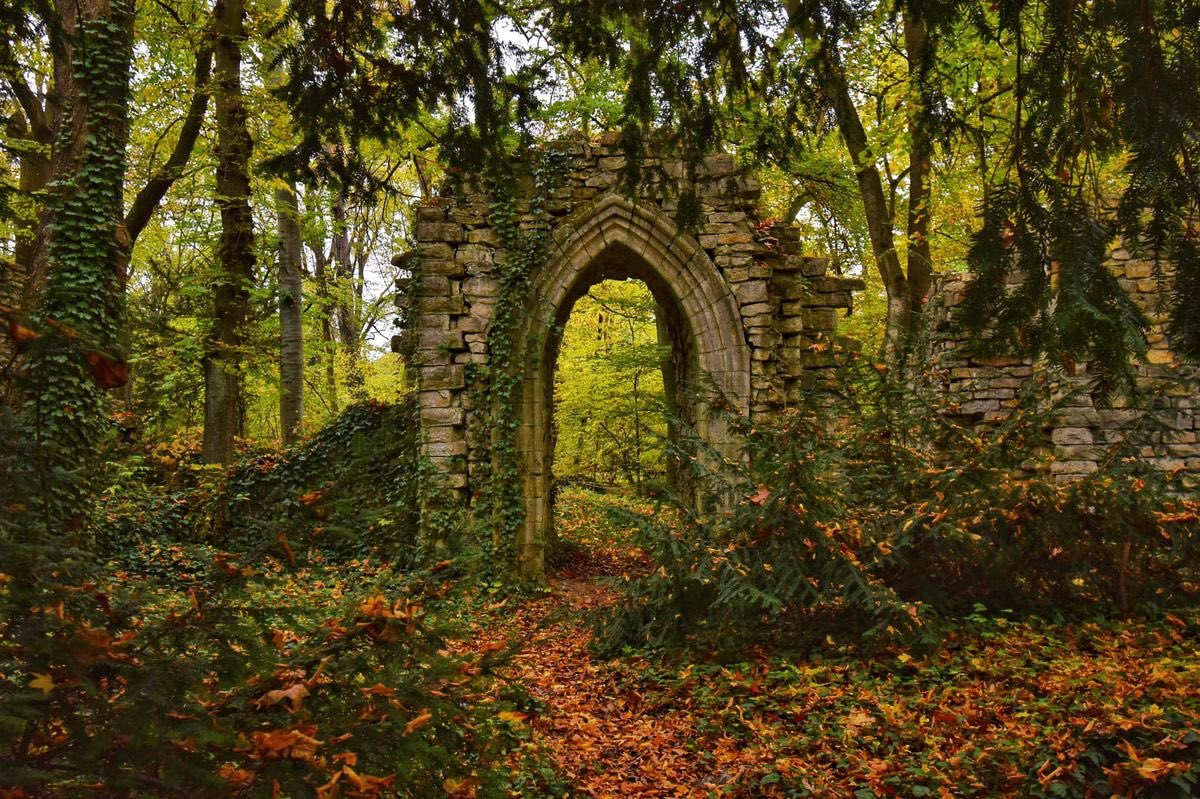 BluebellRaven's tweet photo. “Still round the corner there may wait
A new road or a secret gate,
And though I oft have passed them by,
A day will come at last when I
Shall take the hidden path that runs
Toward the Moon or to the Sun.”

— J.R.R. Tolkien https://t.co/jwo3ekCayn