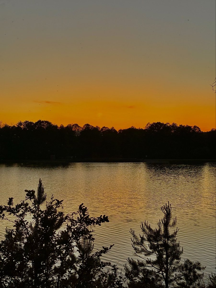 Vickyvsh99's tweet photo. Эстетика долгих летних вечеров🌅 https://t.co/rrvdPx5Z7U
