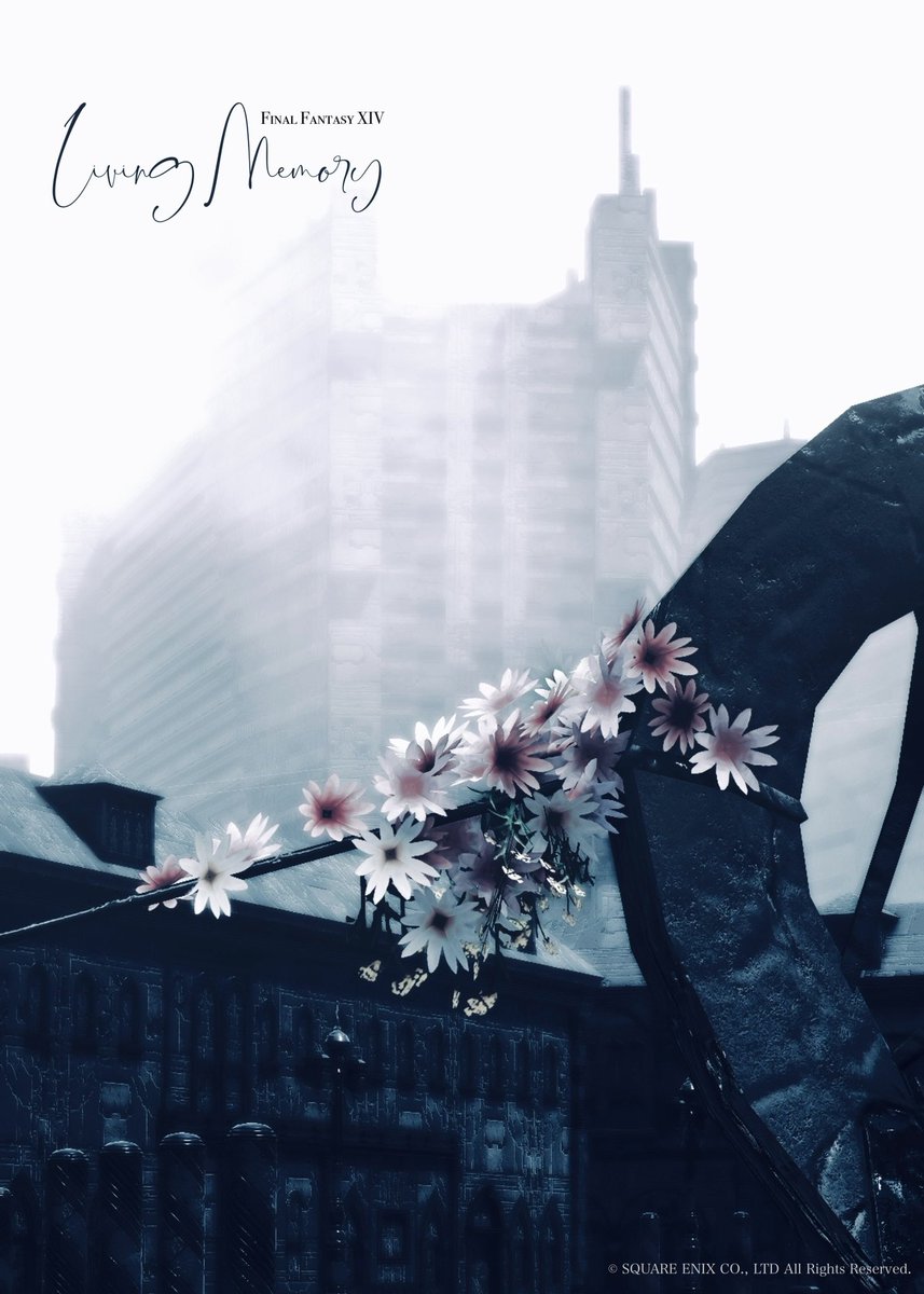 m0717_ss's tweet photo. Good morning 🌿 🕊️
#これを見た人は無言で去年の6月の画像を貼る
- 朝焼けの願い -    Remind https://t.co/MaKXqi2fMa