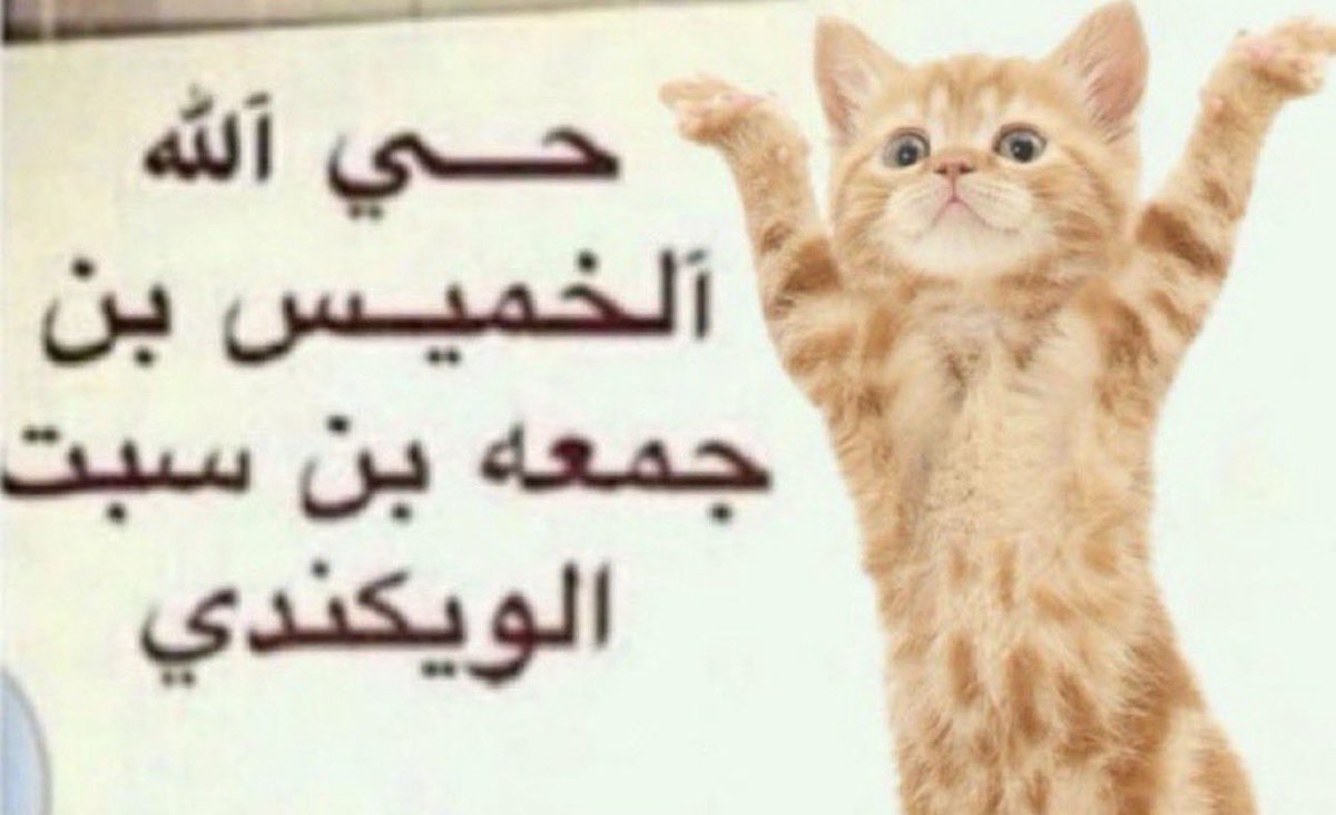R2CV8's tweet photo. حي الله الخميس بن جمعه بن سبت الويكندي 🤗🫡 https://t.co/y2qvpXBoN3
