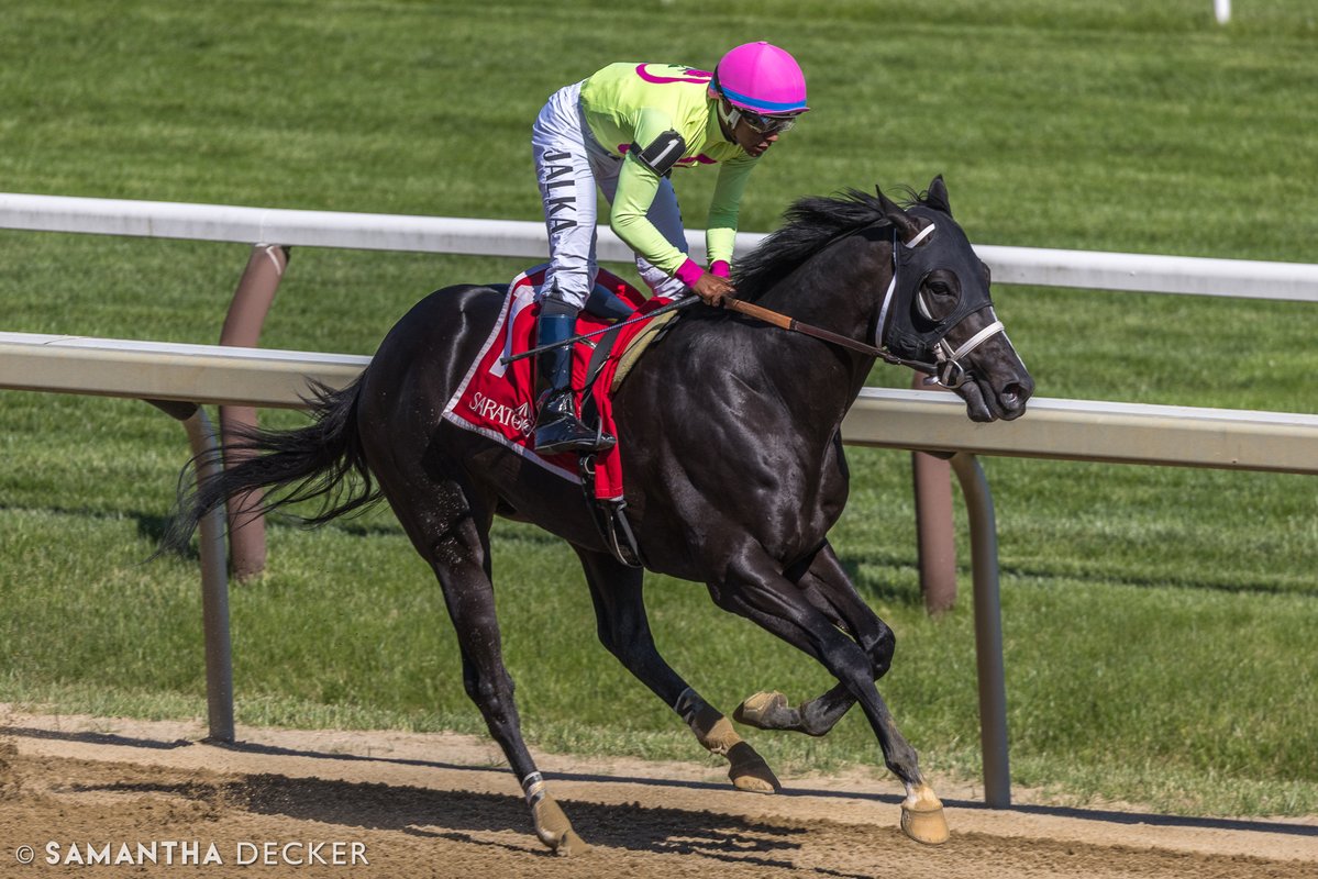 sdeckerphoto's tweet photo. Sculcos Folly made it three stakes wins in a row today in the Mike Lee Stakes at Saratoga.  Congratulations to the connections, which include owner Michael Dubb, trainer Rick Dutrow, and jockey Jaime Rodríguez.

Shot for the @saratogaspecial https://t.co/82wzId5Ykq