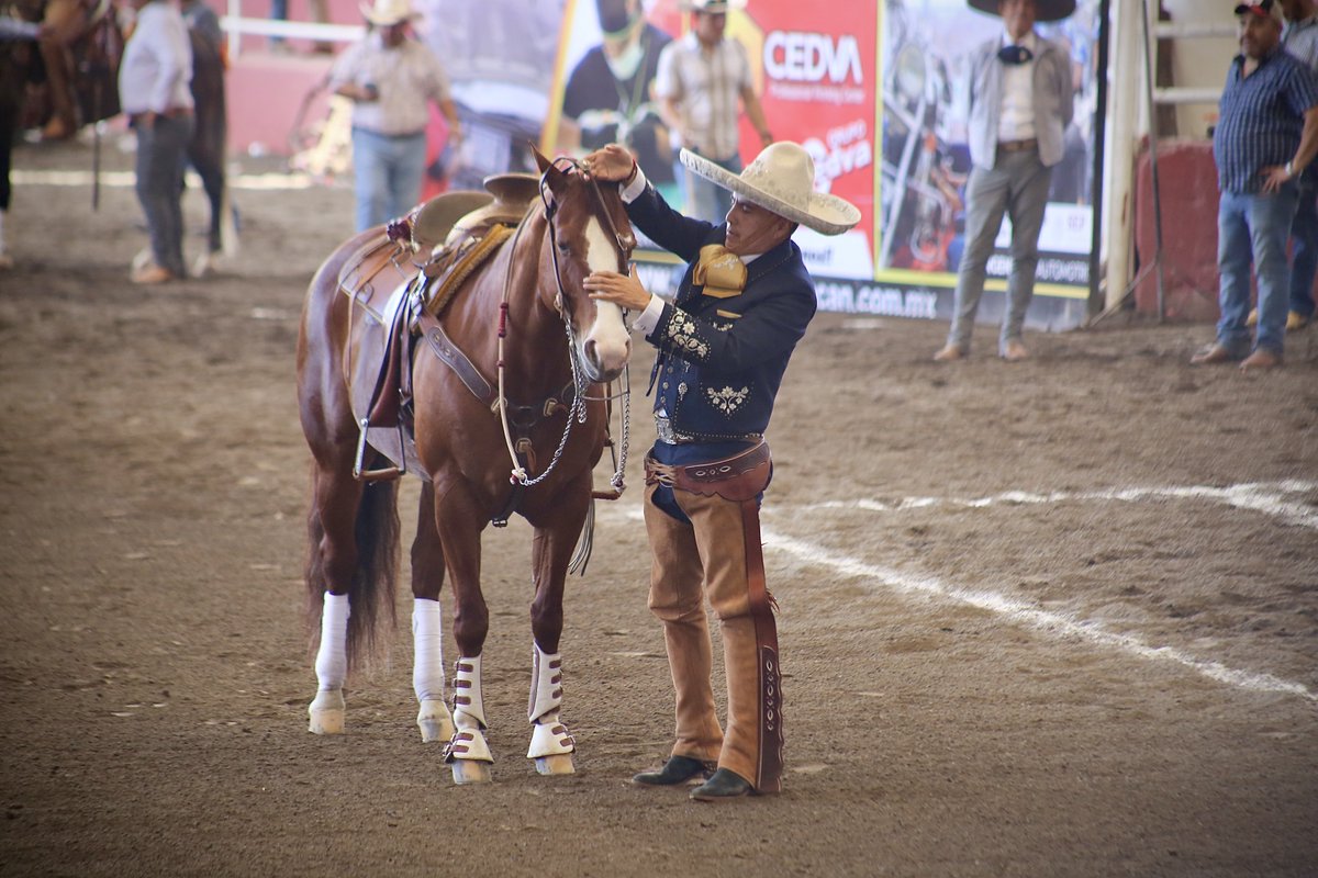 gcolorgasca's tweet photo. La elegancia del charro está en su porte y en su palabra. ¡Qué orgullo ser #charro! 🐎 https://t.co/sRcVXJ912y
