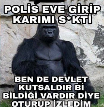 GunesIssever's tweet photo. Polisi kutsayan aptal orospu evladı tr halkı https://t.co/mpfIXPXfo9