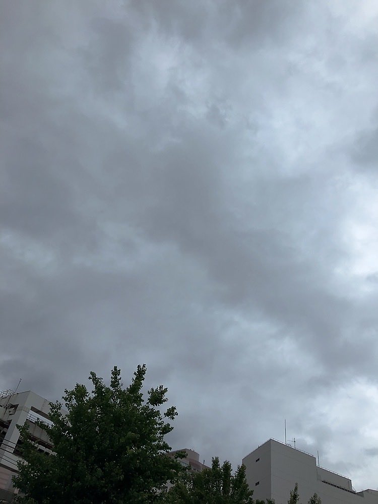 shingolfer's tweet photo. おはようございます☁️
今日は久しぶりに涼しい朝😊
このくらいの気温だと身体も楽やね👍
本日もよろしくお願いします!
#おは戦80人604jm🌴
#ブルバ100
#BlueCheck https://t.co/iYNC9EP3nI