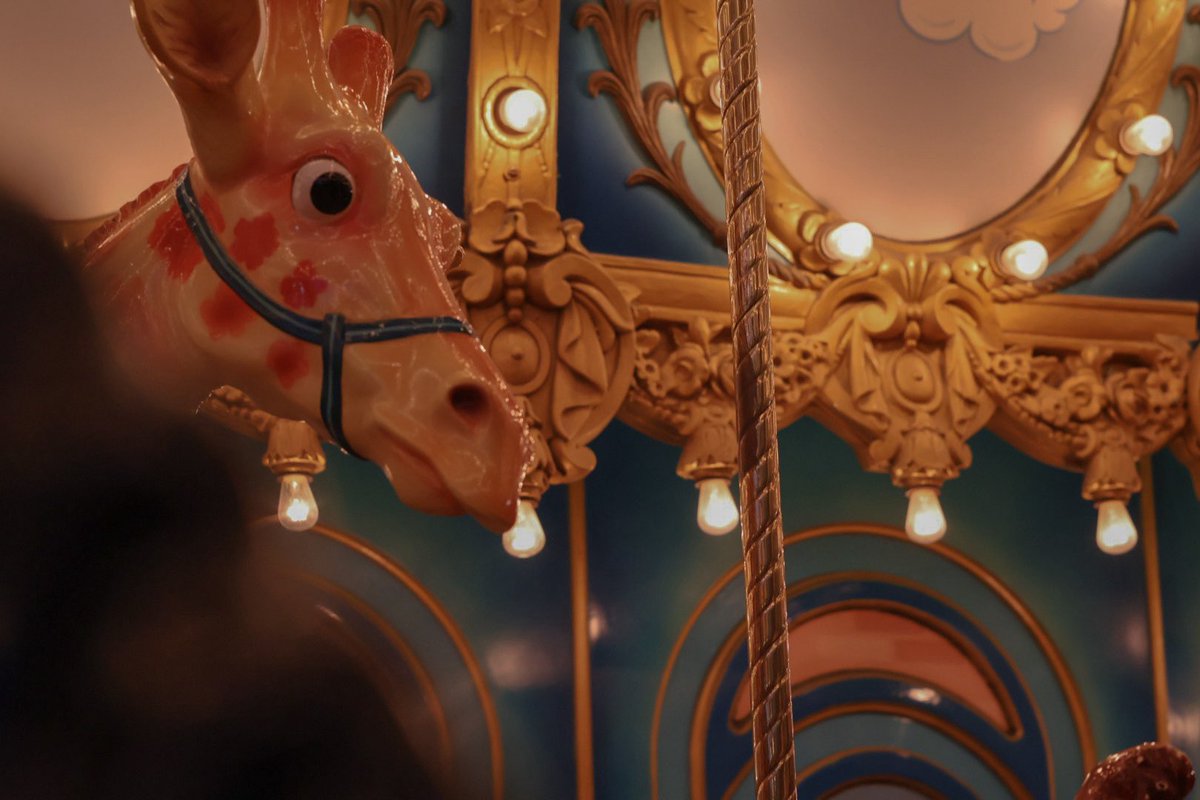 a1ryb0nc's tweet photo. 🎠 https://t.co/BbeS4gVfsM