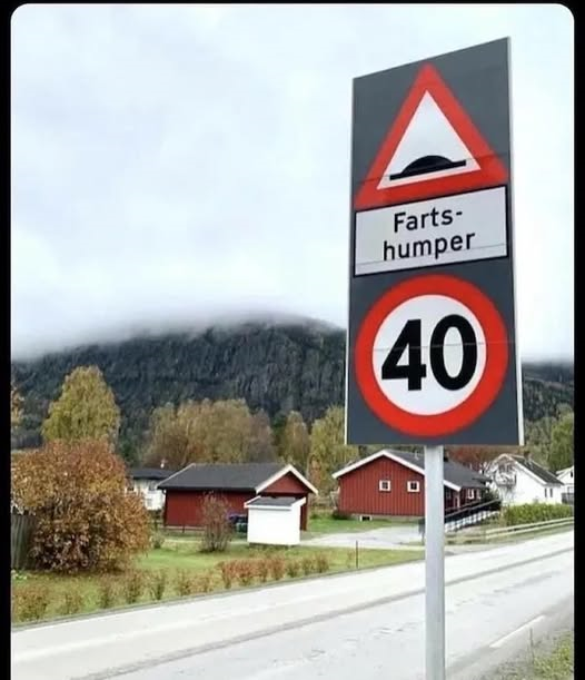 mherlihy0816's tweet photo. My inner 12-year-old is going to be giggling forever now that I know the Norwegian word for "speed bump" is fartshumper.