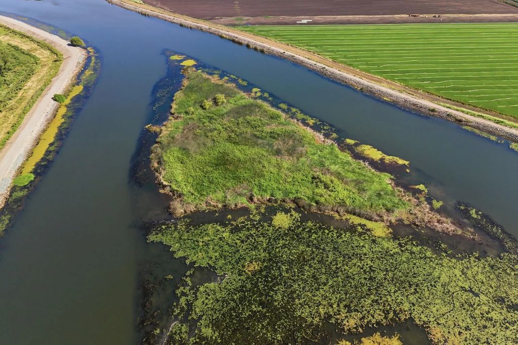 SFGate's tweet photo. A rare private island in California is for sale for $39,000 https://t.co/I3zyfkXrKW https://t.co/EtxaXr2EJ6