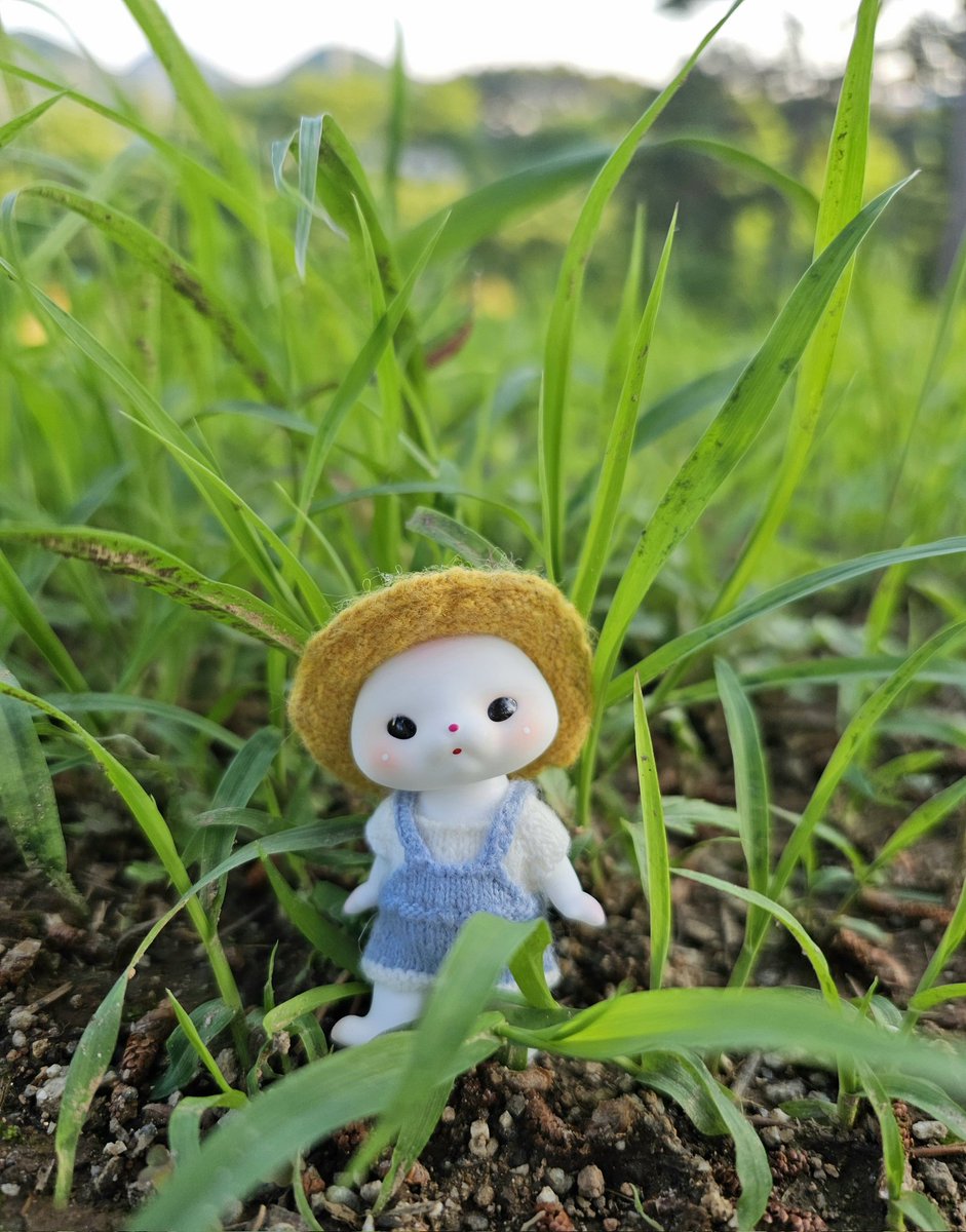 sewangjamom222's tweet photo. おはよう🌿

#pipos #tinyworld https://t.co/uZzwffG1e1