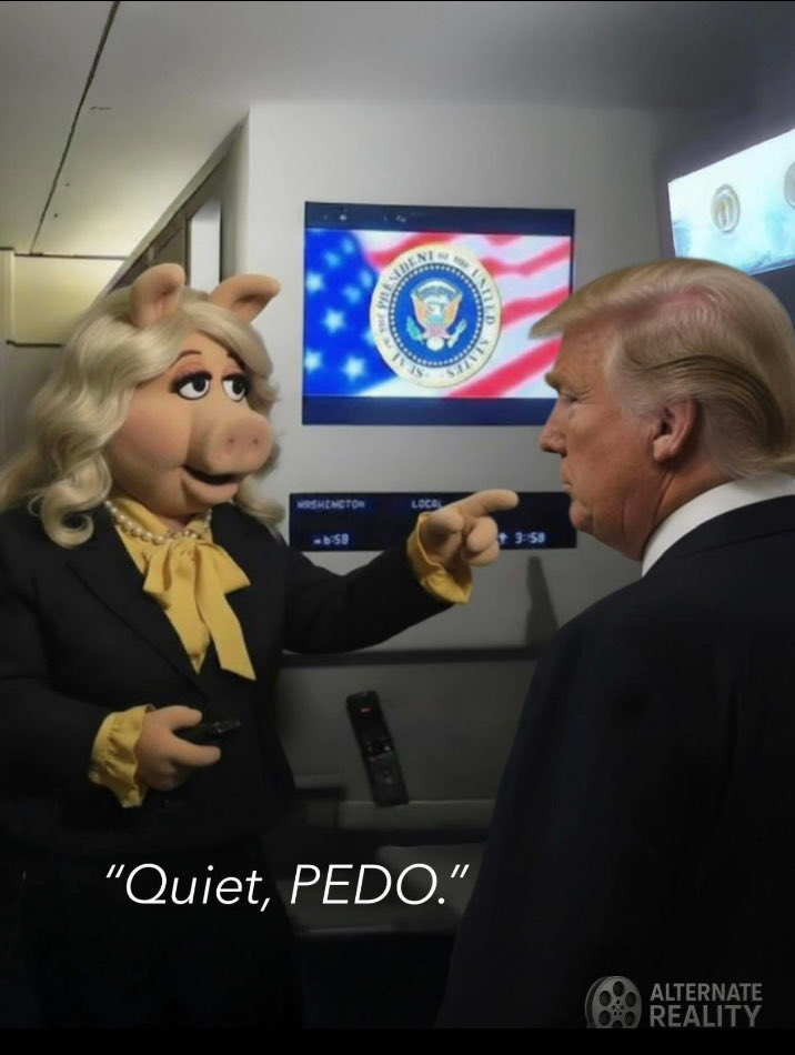 ToTheMoonMiss's tweet photo. @RapidResponse47 @POTUS @kaitlancollins https://t.co/L9PEweDxBt