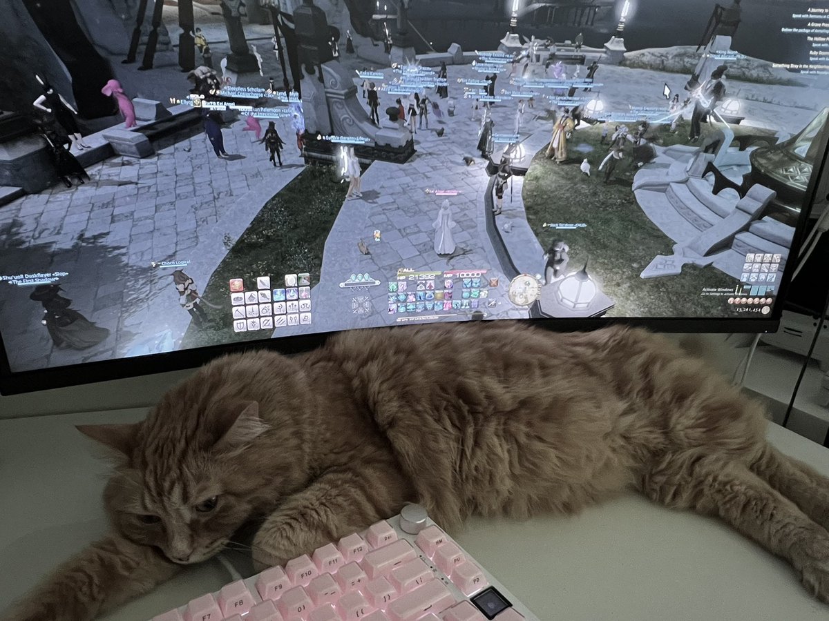 tangyrin's tweet photo. she is one ultrawide screen long https://t.co/9u2SAqcN2L