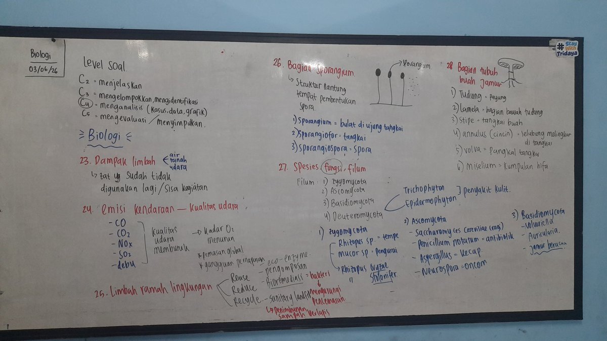 lepidopteraa_'s tweet photo. Hasil pemantapan asat kemarin, bahas kisi2 tangan sampe keriting 😇 https://t.co/yZVVhTyS82