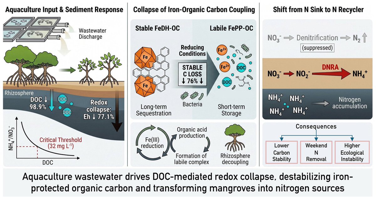 osbert_sun's tweet photo. Article in press
📰Aquaculture stress destabilizes iron–organic carbon coupling and alter... https://t.co/oBkjgqiBFx https://t.co/VttYEujXGK