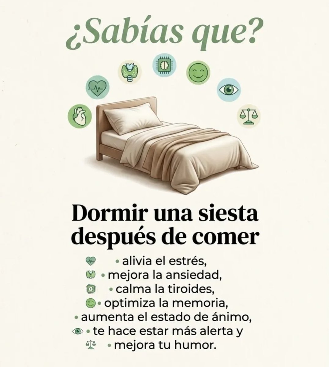 elcodigomental's tweet photo. ¿Sabías que dormir la siesta después de comer tiene estos beneficios? https://t.co/84GL7aE21f