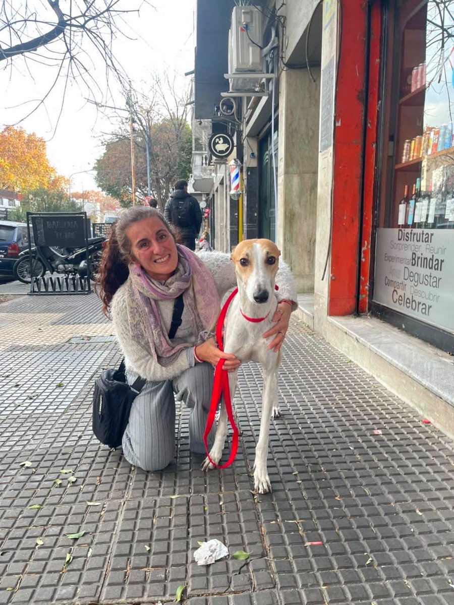 lagarzasosa_'s tweet photo. Hoy, es un día muy especial
Raúl (ahora Vito) consiguió familia ♥️
Adoptado por nati se va a ir a vivir a un lugar súper hermoso con playa y bosque
Gracias a esta red pudimos recuperarlo, a Eli a Nico por transitarlo, a Amanda que labura con la misión mano a mano
Gracias 🙏 https://t.co/ABX3U638kO