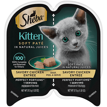 Hunt4Freebies's tweet photo. Get a FREE SHEBA PERFECT PORTIONS Kitten Soft Paté Wet Cat Food Sample! 😻
🔗👇

https://t.co/SjXg242IsW