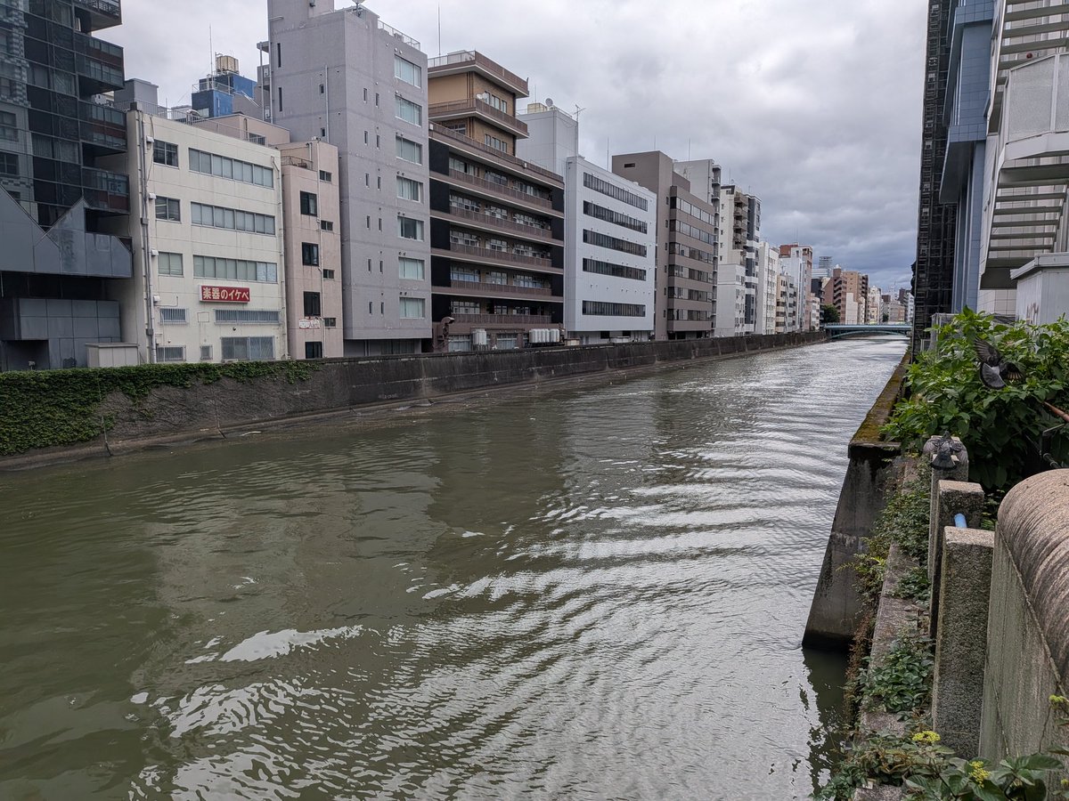 data_sos's tweet photo. おはようございます。台風が通り過ぎた今朝の神田川を和泉橋から。一時警戒水位を超え高齢者避難も発令されましたが水位も下がり穏やか。
今日6/4は通常通り営業します https://t.co/BASX588nU9