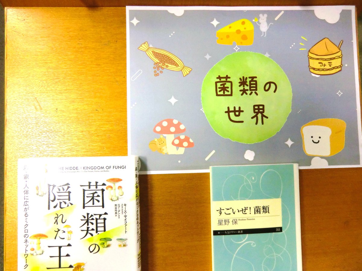 Bunlib_hongo's tweet photo. ＼　６月 ＃本郷図書館 一般図書特集　／

一般図書特集コーナーでは毎月テーマを変えて
様々な本をご紹介しています。

＜６月の特集＞
🍄 #菌類 の世界 🍞
♥️ #愛 のかたち 💛
📌【知る】から始める #SDGs  8.働きがいも経済成長も 📌

#文京区立図書館 #働き方改革 #児童労働 https://t.co/FEZhSHO5Rt