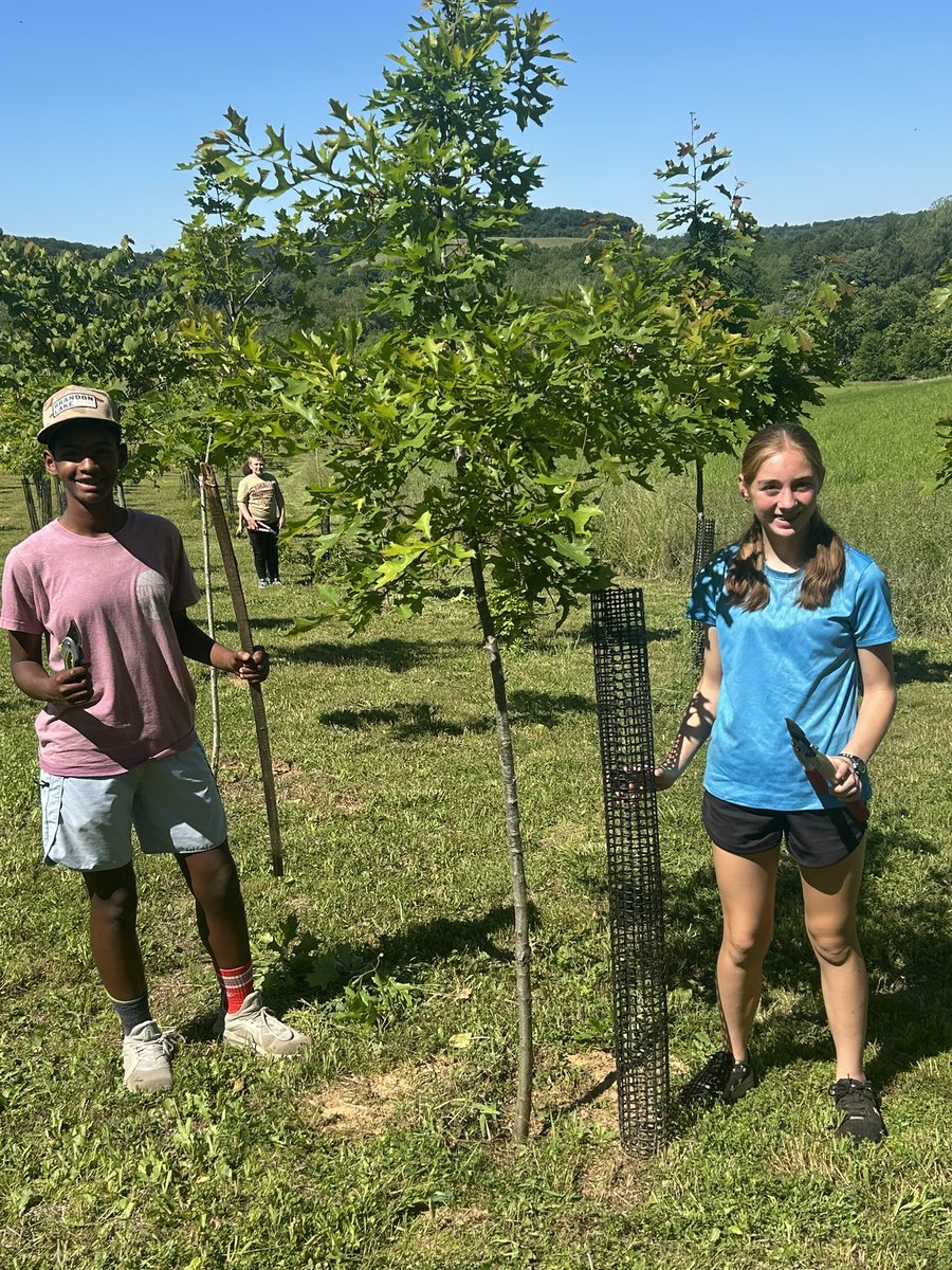 StemCcps's tweet photo. They speak for the trees #ODSchangetheworld https://t.co/O09qEkhOA1