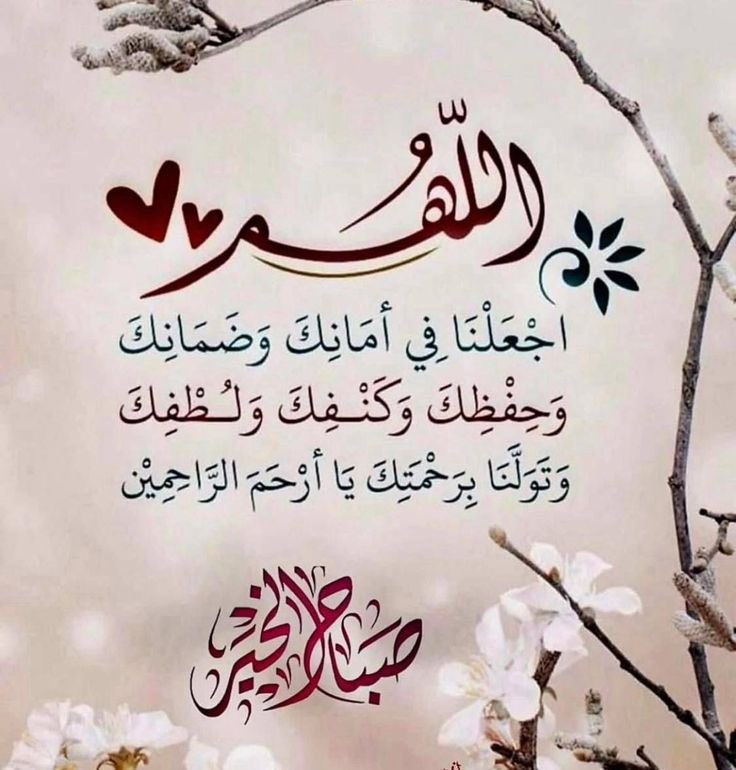 ALali6002's tweet photo. اللهم اجعلنا في أمانك وضمانك 
وحفظك وكنفك ولطفك وتولنا 
برحمتك يا أرحم الراحمين. 
الله يصبحكم على فضله. https://t.co/OnFLsy0cmd
