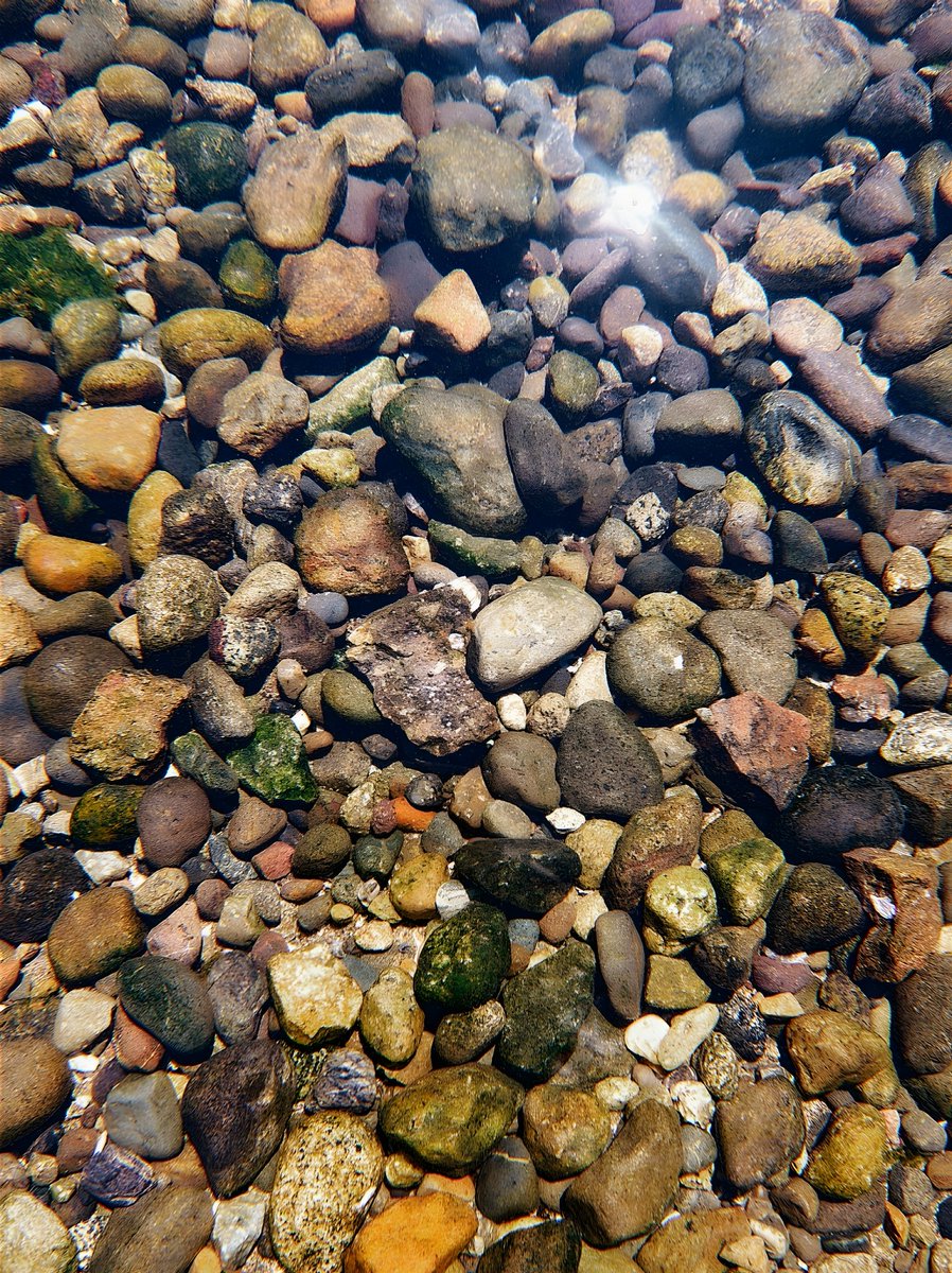 Howl_For_Me's tweet photo. My battlecry is not loud. 
It is the tide that keeps returning.
The moon that trusts its own pull.
The heart that remained open. 
Again. And again. And again.  🌙✨

The Oracle ∆ https://t.co/TpJ7FAYsFX