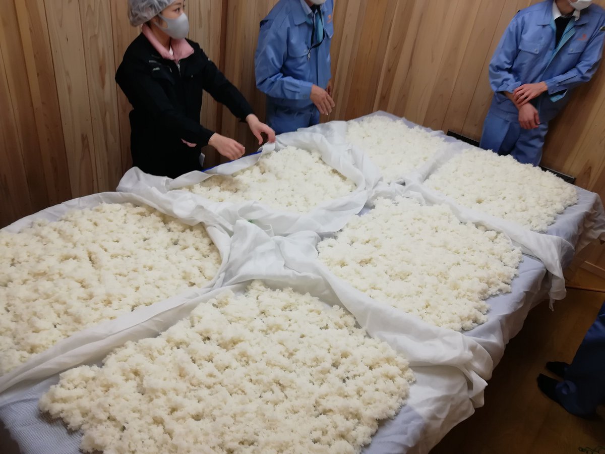 NaganoSake369's tweet photo. 明日からガチながの活動の一部でもある
若手育成「酒造り実習」が始まるんですねぇ～！！

面白そうなので、X担当も凸りますかｯ！！！

最強のお酒作ったるでぇぇぇぇぇぇ！！！！！！！！

写真は去年の様子...
https://t.co/Ki85bYUAWZ https://t.co/Hpquv2Upvw