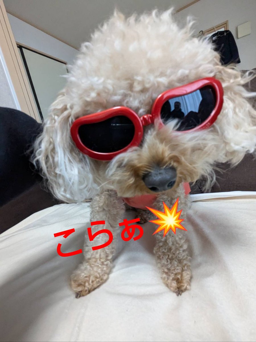 hananohosi314's tweet photo. 何だかね～
図画工作ばっかりだわ
お姉さんも見えないよ😵‍💫 https://t.co/keWleCJhYP